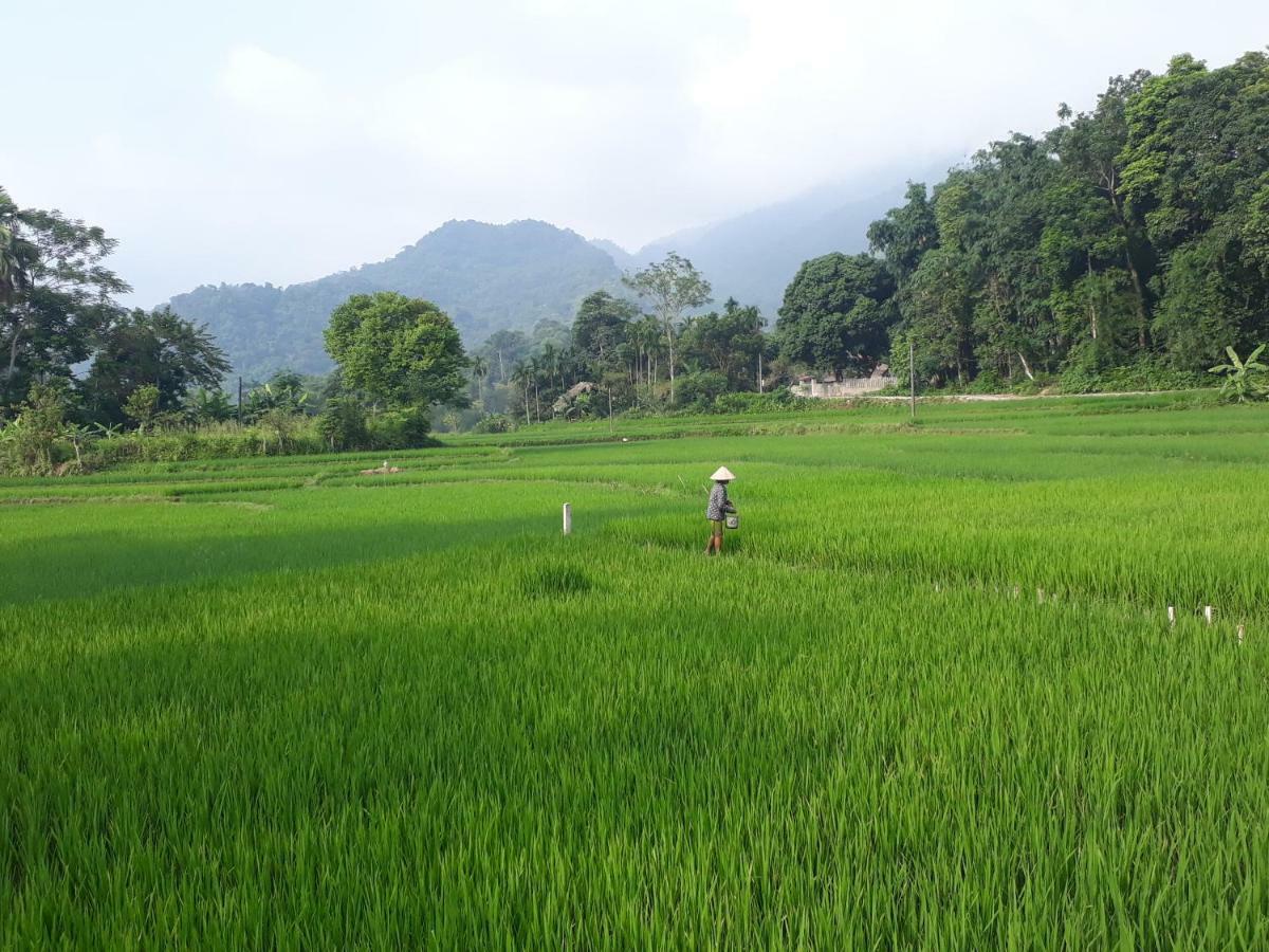 Ha Giang Faithien Homestay Exterior photo